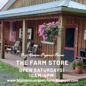 Big Mamou Organic Farm