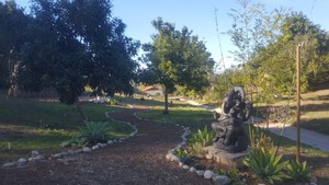 3-Acre Macadamia Nut Farm (looking for help!)