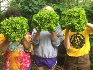 Urban Roots MN