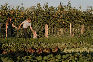 Covenant Farm