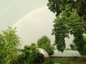Olden Organics Farm
