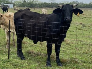 J & M's Organic Ranch