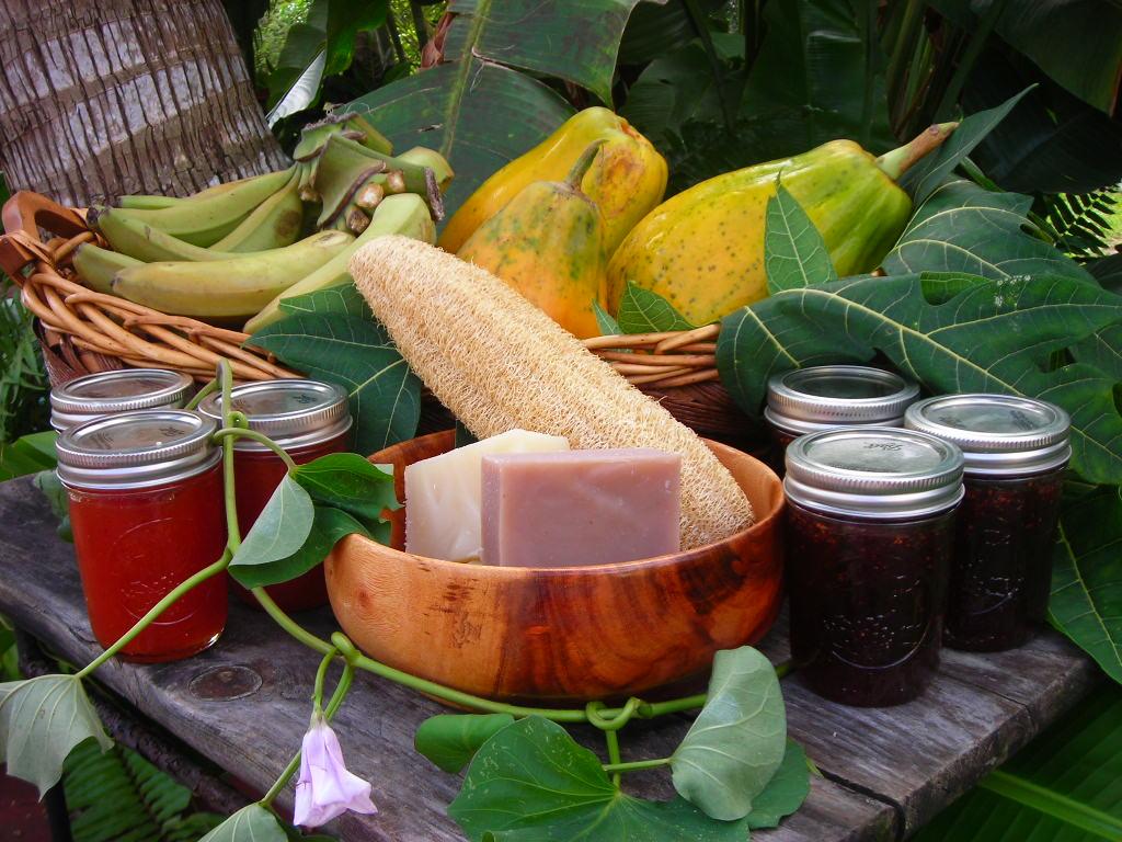 back2thebeginning farm2015 015.JPG