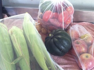 Bare Paws Farm