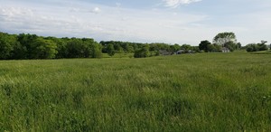 Pioneering Farms