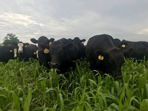 Swope Acres