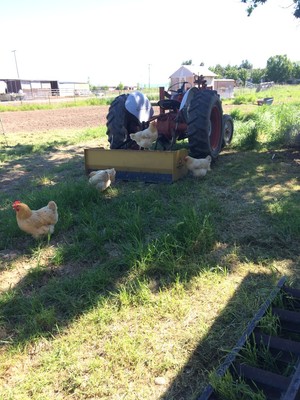 Father and Son Farm