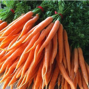 Bialas Farms