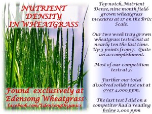 EdenSong Wheatgrass & Beyond Organic Products