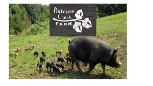 Patterson Creek Farm