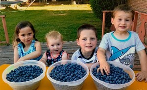Wilt's Blue B Ranch
