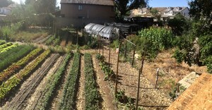Market Zero at Cottonwood Urban Farm