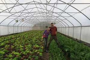 Moose Meadow Farm