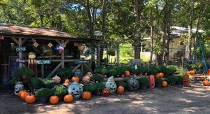 Hwy 80 Produce