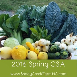 Shady Creek Farm and Nursery