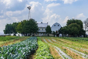 God's Bountiful Farm