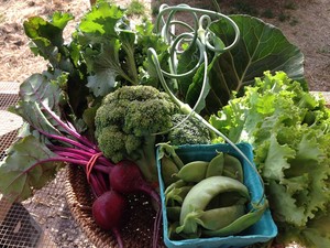 Sola Gratia Farm
