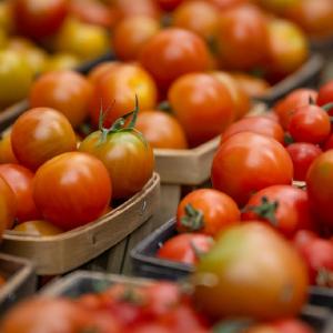 Growing Home Farmstand