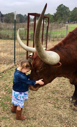 Blessings Ranch
