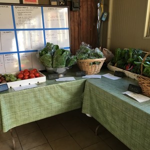 Urban Earth Farms