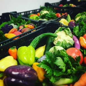 Big Rock Organics