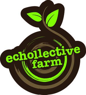 Echollective Farm & CSA
