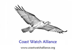 Coast Watch Alliance