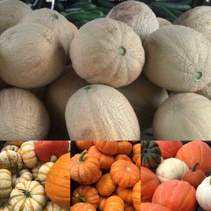 Belau Farms