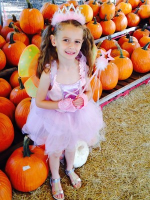 Daves Pumpkin Patch