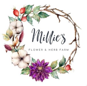 Millie's flower Farm