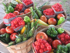 Von Thun Farms