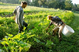Threefold Community Farm