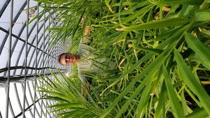 Dogwood Grove Greenhouse LLC