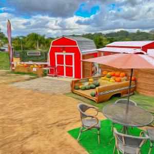 Mini Barn Market