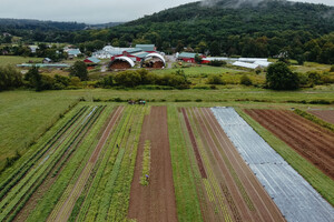 Hawthorne Valley Farm