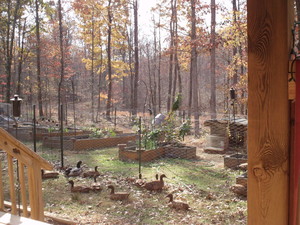 Boot's Shire Homestead