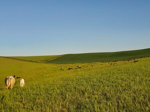 6/2 Ranch