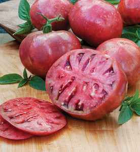 Cherokee Purple Tomato