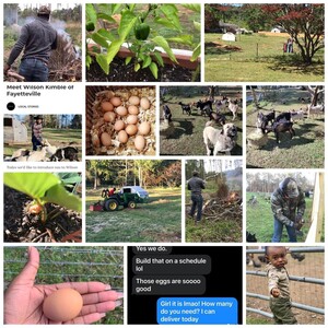 Kimbleland Farm