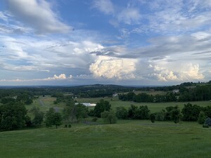 Vista Mountain Farm