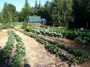 Sunnyside Mtn Farm