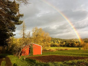Senkos Farm