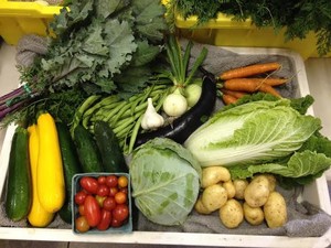 Middle Way Farm