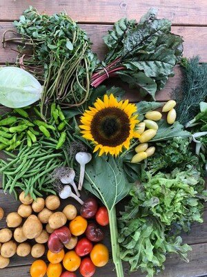 Fresh Meadow Farm