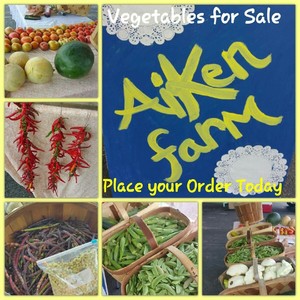 Aiken farm