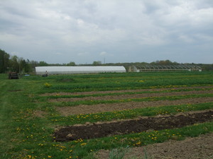 Earth-Shares CSA
