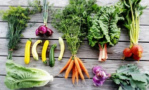 Rambling Roots Farm