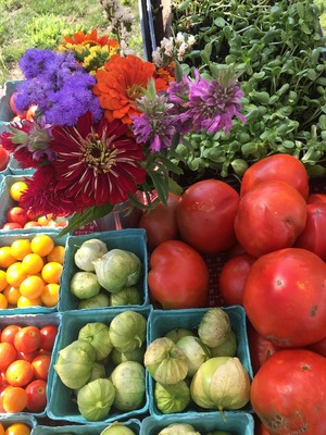 Bedminster Farmers Market