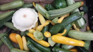 Hwy 202 Farmer's Market
