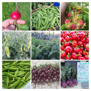 Tronchetti Farms